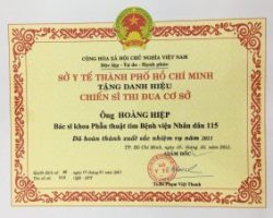 BANG-KHEN-CHIEN-SY-THI-DUA-CƠ-SỞ-2011-300x226