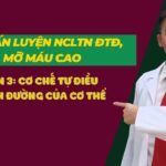 TUẦN 3 CƠ CHẾ TỰ ĐIỀU CHỈNH ĐƯỜNG CỦA CƠ THỂ