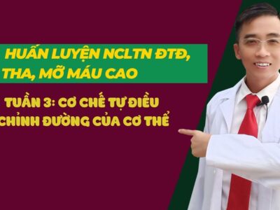 TUẦN 3 CƠ CHẾ TỰ ĐIỀU CHỈNH ĐƯỜNG CỦA CƠ THỂ
