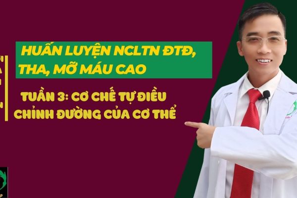TUẦN 3 CƠ CHẾ TỰ ĐIỀU CHỈNH ĐƯỜNG CỦA CƠ THỂ (1)